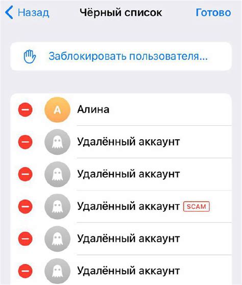 Методы удаления пользователя из черного списка в Телеграм