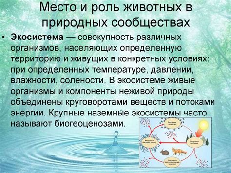 Мягкий гибрид и окружающая среда