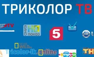 Наслаждайтесь просмотром Триколор на телевизоре
