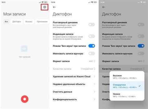 Настройка диктофона перед использованием