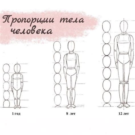 Настройка пропорций и форм тела