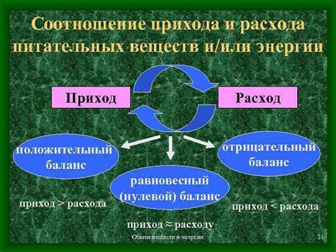 Натуральные ингредиенты и баланс питательных веществ