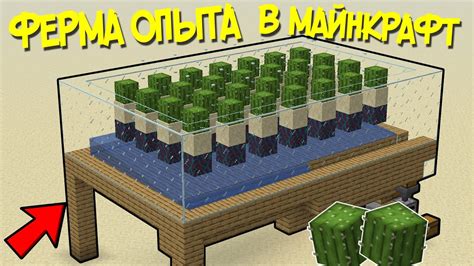 Необходимое оборудование для фермы опыта