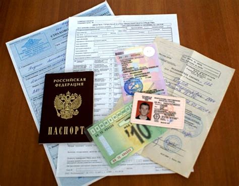 Необходимые документы для регистрации лошади