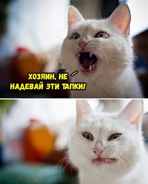 Ого - Молниеносный