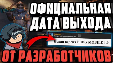 Ограничения и официальная позиция разработчиков PUBG