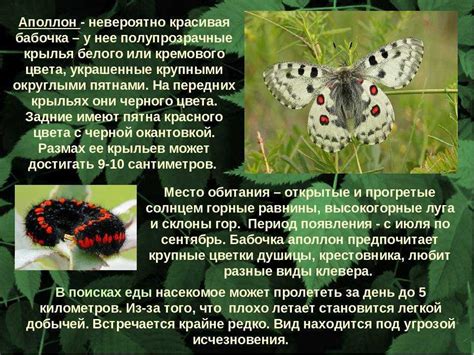 Описывайте основные характеристики и особенности