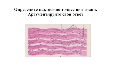 Определение вида ткани