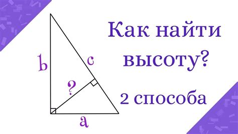 Определение высоты в треугольнике: готовые примеры и задачи