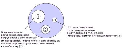 Определение оптимальной чувствительности