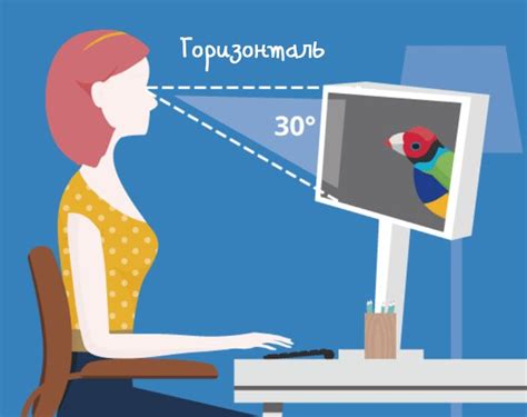 Определите правильное расположение монитора