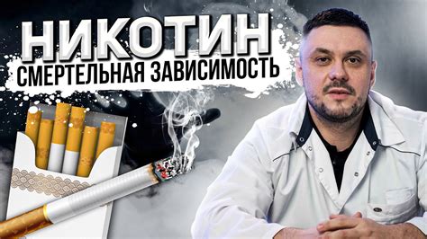 Оптимизация сочетания ароматизатора и никотина
