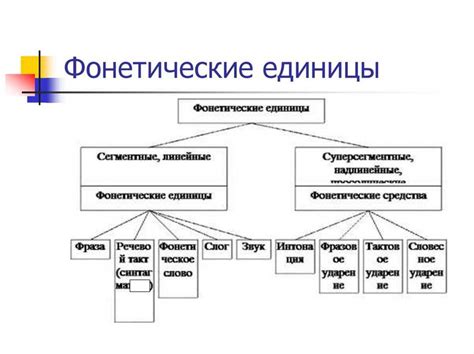 Основные принципы фонетики