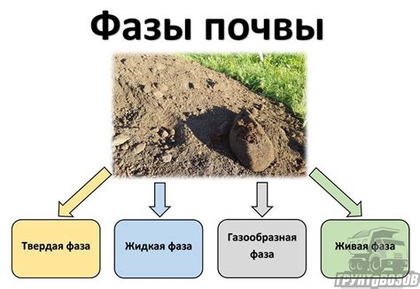 Основные элементы плодородной почвы в Римворлд