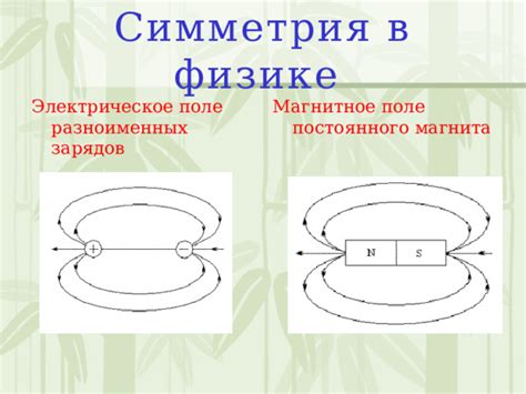Основы работы магнита в физике