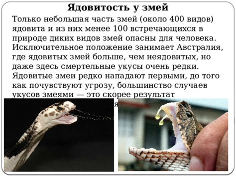 Особенности зрения у змей