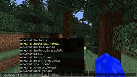 Особенности команды locate в Minecraft 1.12.2