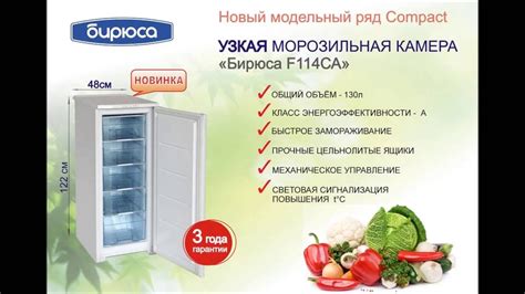Особенности морозильной камеры Бирюса 145с
