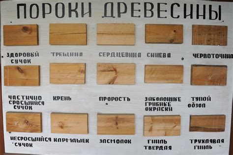 Особенности определения сорта доски с помощью расчленения