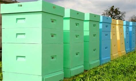 Особенности разведения пчел с помощью улья