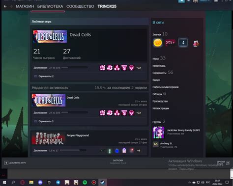 Особенности стрима экрана в Steam