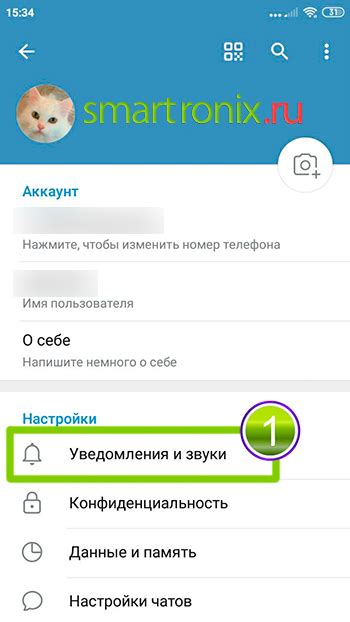Отключение сглыпы в Telegram