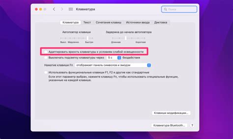 Отключите автоматическую подсветку экрана