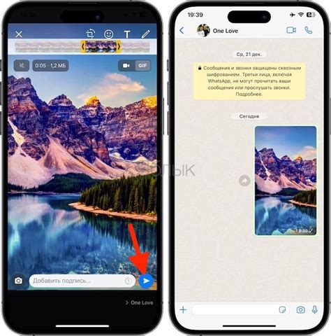 Отправка гифки в чате WhatsApp