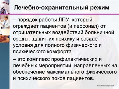 Охранительный инстинкт