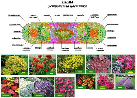 Планирование посадки и размещения растений