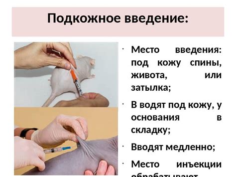 Поверхности для инъекции в живот