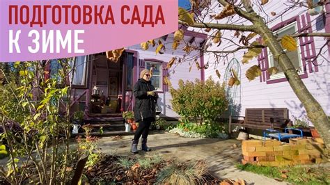 Подготовка бодлеи к зиме
