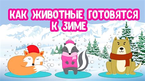 Подготовка к созданию схрона в лесу