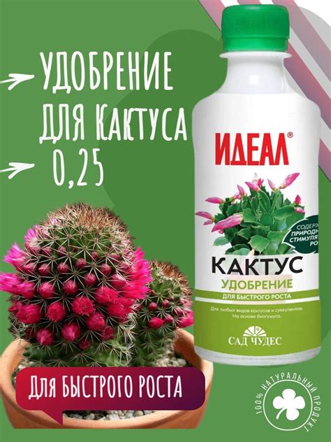 Подкормка и удобрение китицы