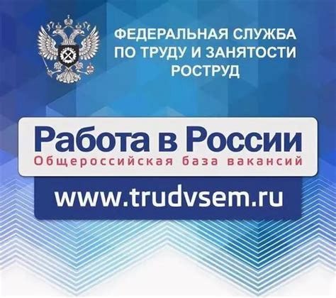Поиск работы на портале Труд Всем