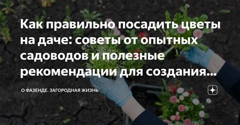 Полезные статьи и новости на портале Труд всем