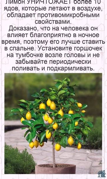 Польза обтесанного дерева