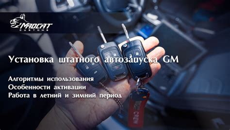 Понятие и особенности автозапуска роликов