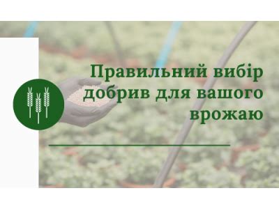 Правильный выбор удобрений для сада