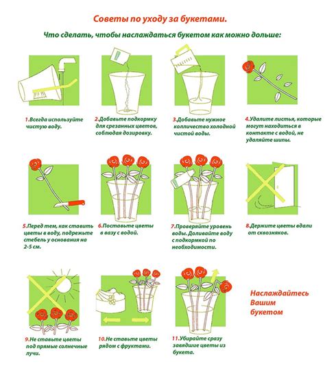 Практические советы по уходу за цветами из ткани