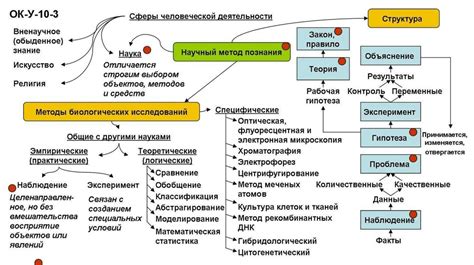 Преимущества ихтиолового компресса перед другими процедурами