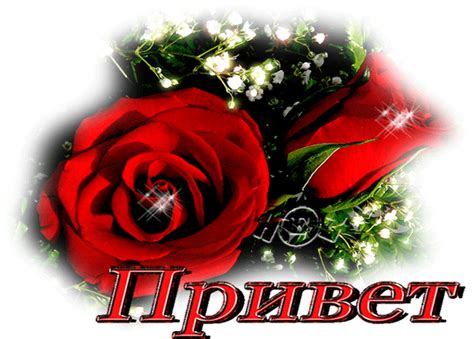 Привет сестренка моя