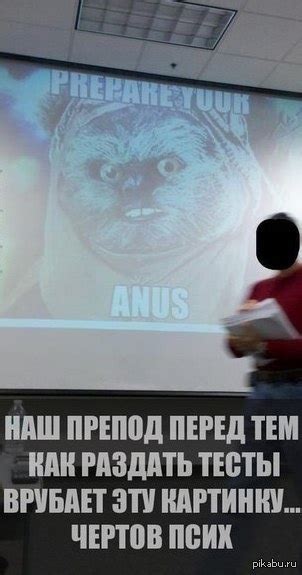 Приготовьте свои данные