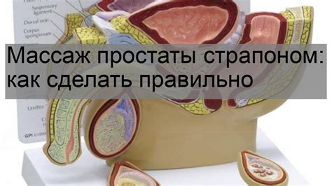 Приемы массажа простаты