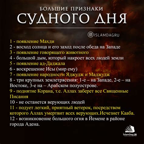 Признаки шмеля