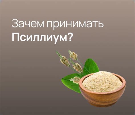 Принцип действия псиллиума