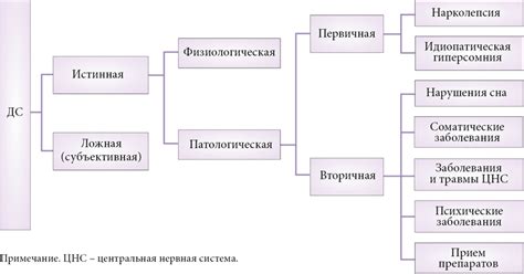 Причины автообновления ДС