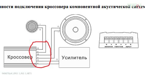 Проверка подключения к динамикам