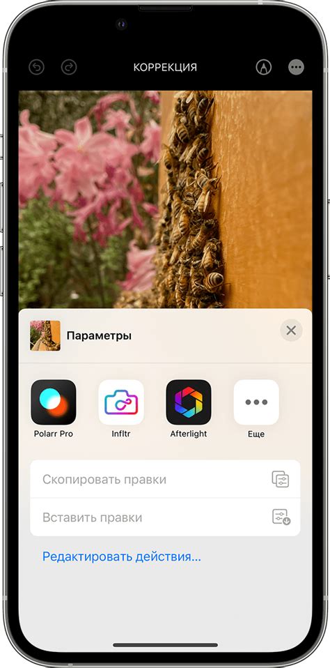 Просмотр и редактирование снэпшотов
