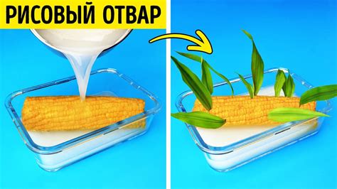 Простые способы в домашних условиях